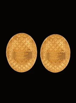 Women Balmain Signature Mesh Earrings