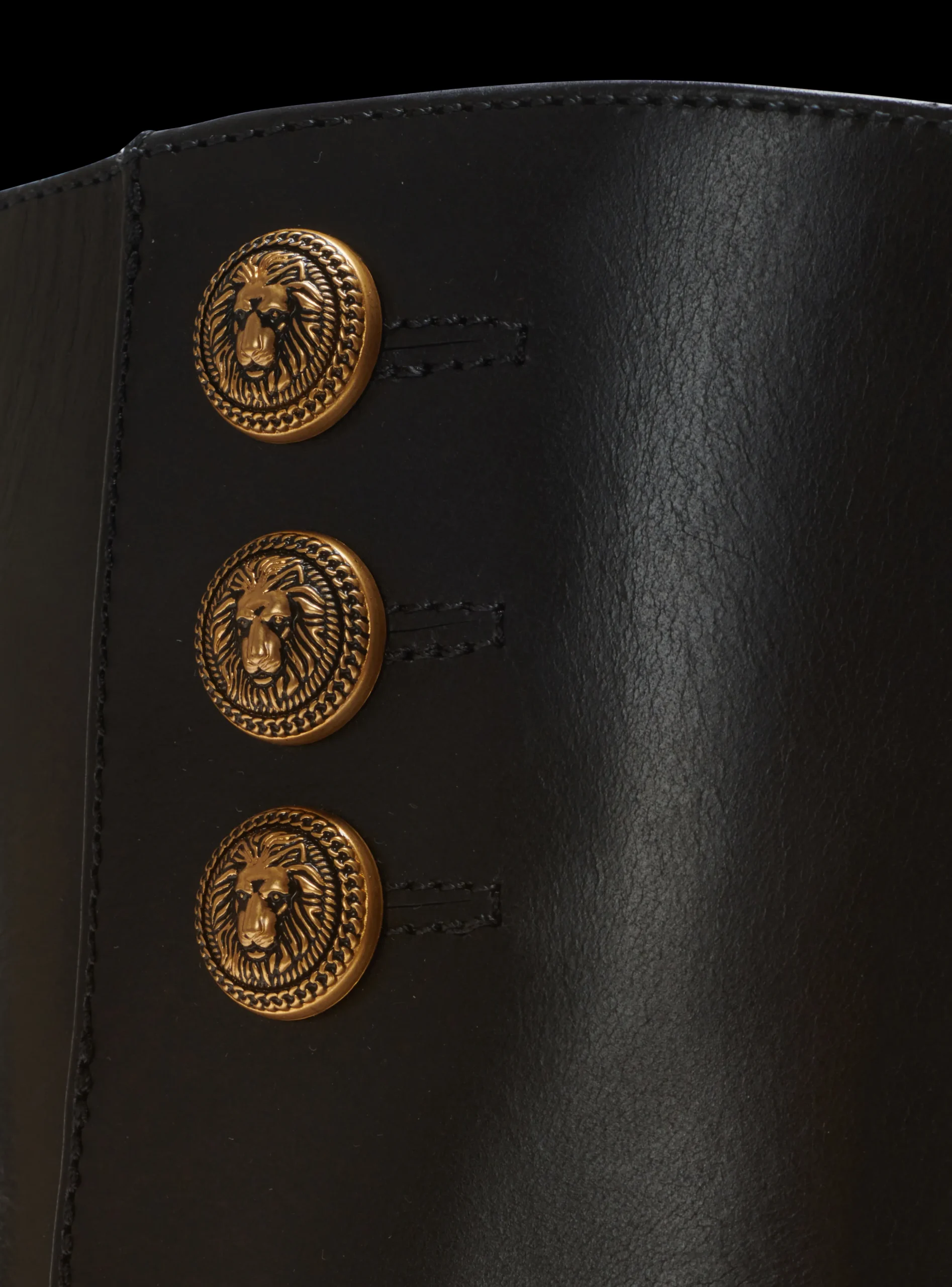 Women Balmain Brune Leather Ankle Boots
