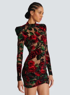 Women Balmain Burnout Velvet Dress With Rose Print