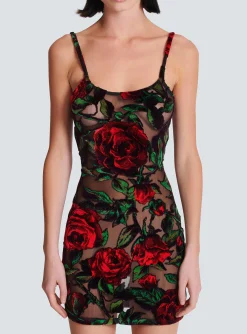 Women Balmain Burnout Velvet Dress With Rose Print